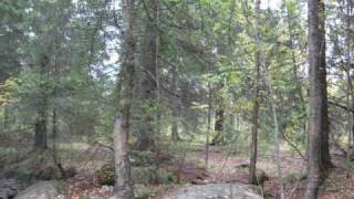 Embraze Kiiminkijoki