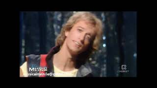 Robin Gibb Danger Ric e Gian folies 1983