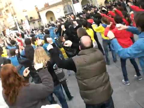 Flashmob de La Coixinera