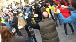 Flashmob de La Coixinera