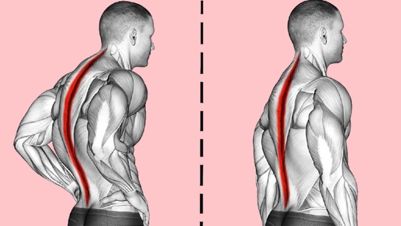 14 Morning Exercises To Correct Posture