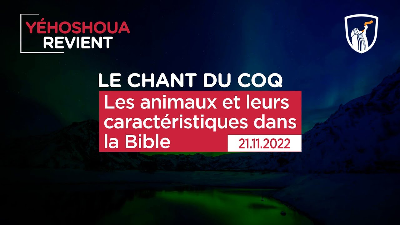 Thumbnail of video: Les animaux et leurs caractéristiques dans la Bible