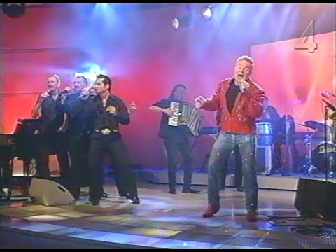 Jerry Williams & The Boppers - Did I Tell You (Bingolotto 2003)