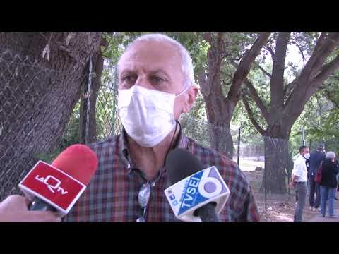 Pescara. Via Pantini, no al taglio degli alberi per ampliare la strada