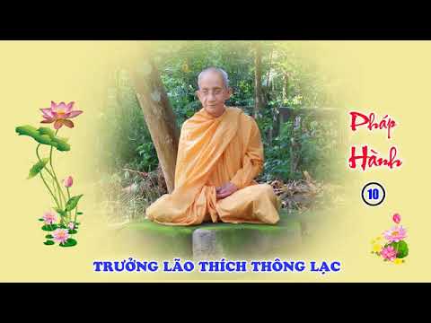 Pháp Hành 10: Tu tập Định Niệm Hơi Thở  như thế nào sẽ có Quả lớn, có lợi ích rất lớn?