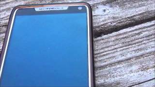 Lion News: Michelle MacDonald Threatened By GOP Errand Boy & Attorney Patrick Burns?