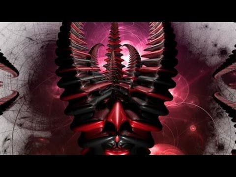 Safi Connection - Housten