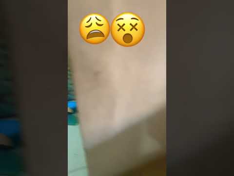 26 de janeiro de 2026