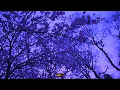 Pique Roscoe - Murderous (Video)