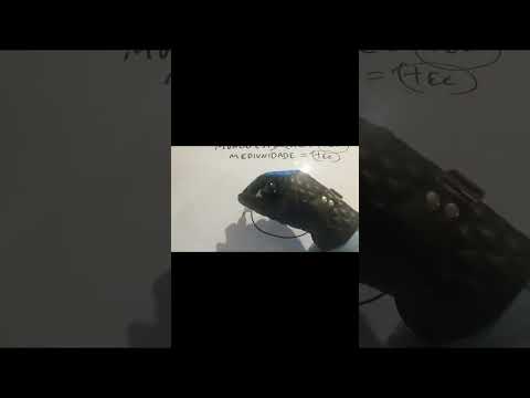 ParvaTV vídeo 03