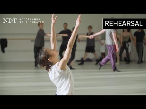 Rehearsal world premiere - Nadav Zelner (NDT 2 | The play between)