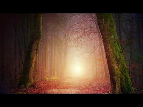 Think City feat. July - Enter The Presence (Original Mix)