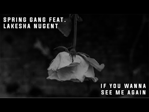 If You Wanna See Me Again by spring gang feat. LaKesha Nugent [Dance, Pop, ESMusic]