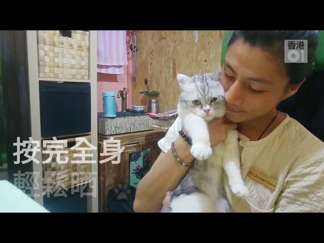 寵物按摩．有片】日掃100次貓貓膀胱經一次過強健心肝脾肺腎｜香港01｜寵物