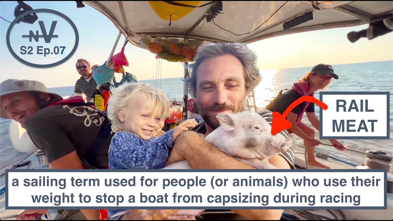 Should we use a pig as rail meat on our racing yacht? | S2 Ep7