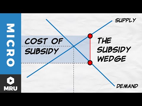 Subsidies