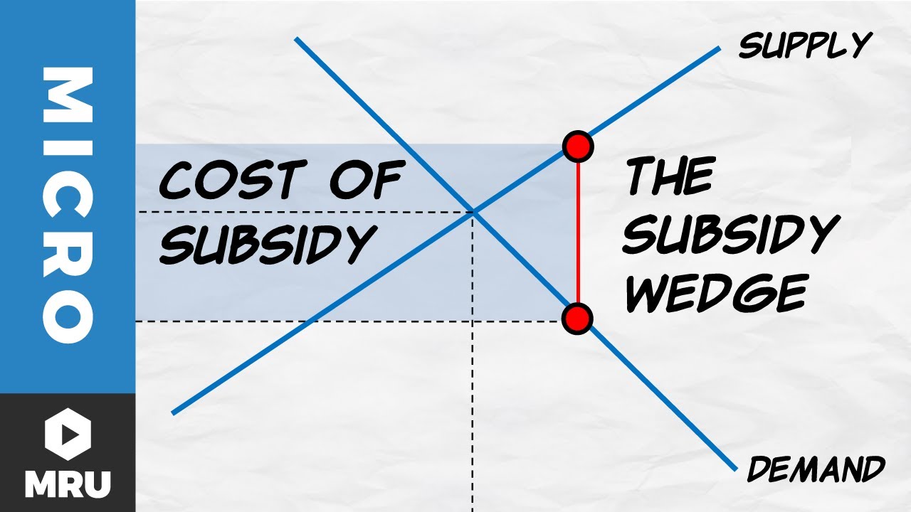 Subsidies