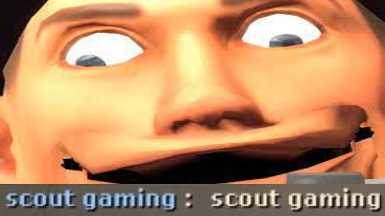 scout gaming