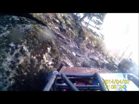 On the roof of my Wraith around the garden