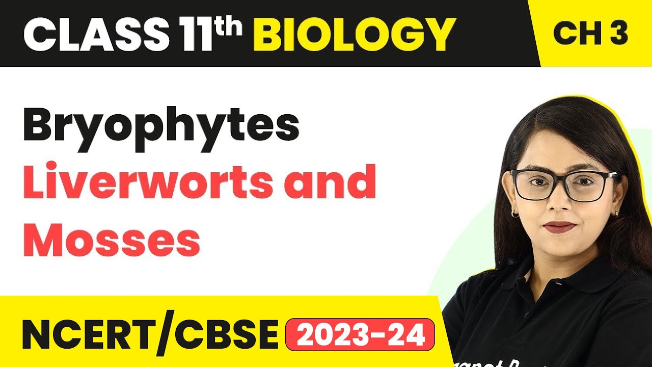 Bryophytes: Liverworts and Mosses - Plant Kingdom | Class 11 Biology Chapter 3 | NCERT/CBSE