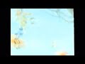 Flik S Fun Fair 2002 Promo VHS Capture