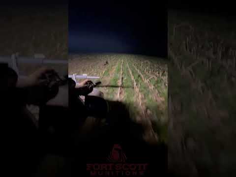 Law Enforcement Tests 5.56 62gr TUI® Through Car A Pillar! | Fort Scott Munitions®