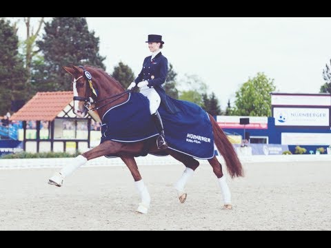 1.Finalqualifikation NÜRNBERGER BURG-POKAL 2018 Horses & Dreams, Hagen a.T.W.