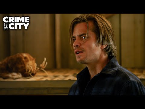 Raylan and Boyd Fight Back Against the Hill People | Justified (Timothy Olyphant)
