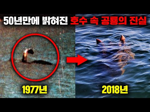 전세계 곳곳의 호수에서 끊임없이 목격되는 '수장룡' 의심 생명체들 [미스터리]