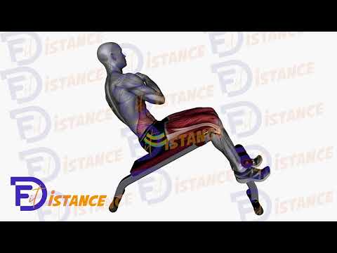 Crunchs obliques en décliné - Exercice Crunchs obliques en décliné en vidéo Crunchs obliques en décliné - Exercice Crunchs obliques en décliné en vidéo