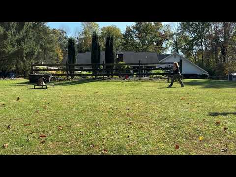 NJ Canine Coach video.