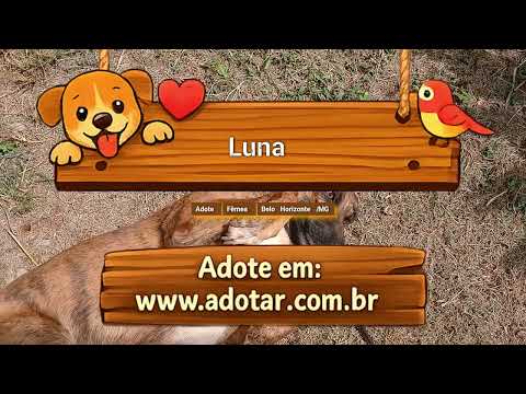 Vídeo de Luna