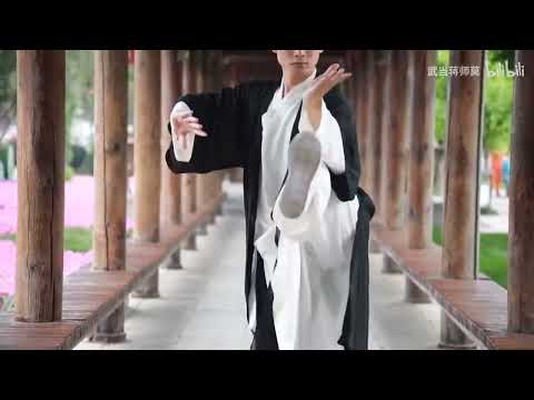 武当太极 36 式，蒋师莫， Wudang Taichi 36， Jiang Shi Mo。 Thái Cực Võ Đang 36 thức. Тайцзи 36 форм