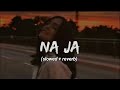Na ja [Slowed+Reverb] Pav Dharia - Text audio