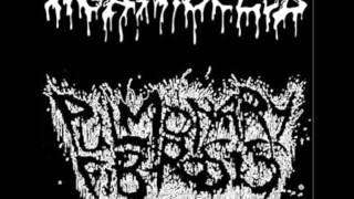 Agathocles - Squeeze Anton