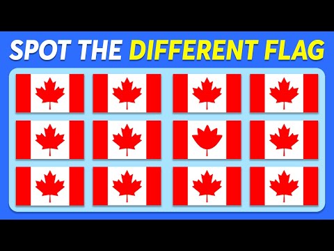 Spot the Different Flag | Learn Country Flags of the World | Easy, Medium, Hard, Impossible