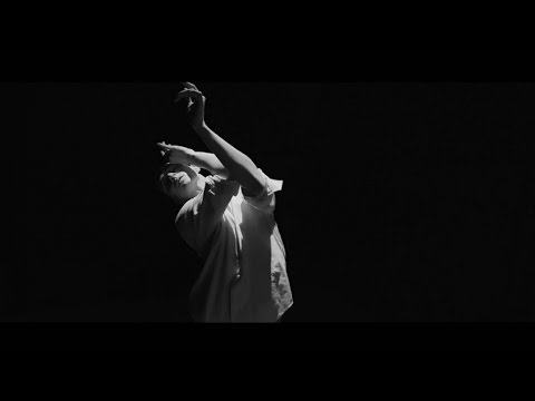 Павел Воля — Кошки