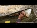 Panen Madu Di Tebing Dan Memeras Madu BOCAH PETUALANG
