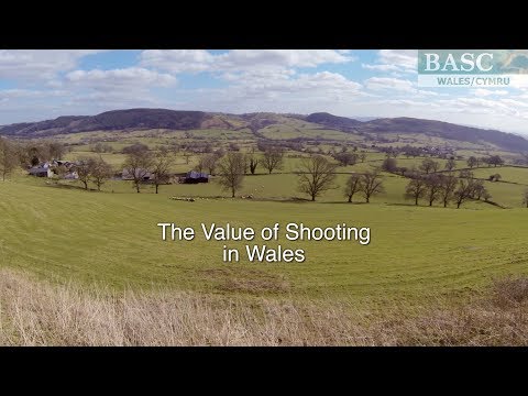 download lagu mp3 mp4 Clay Pigeon Shooting South Wales, download lagu Clay Pigeon Shooting South Wales gratis, unduh video klip Clay Pigeon Shooting South Wales