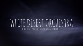 WHITE DESERT ORCHESTRA - Eve Risser - Teaser