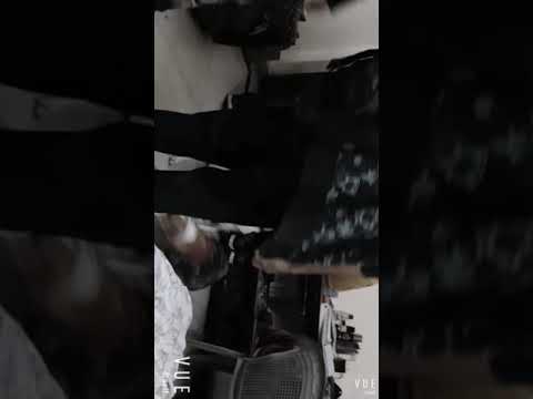 Happiness is a beagle and a Dalmatian lighting up your world.