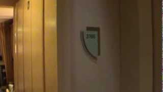 Royal Caribbean "Enchantment of the Seas 11/25/13" Inside stateroom 3765 & 3763