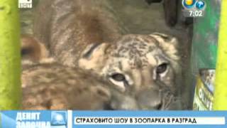 preview picture of video 'Страховито шоу в зоопарка в град Разград'