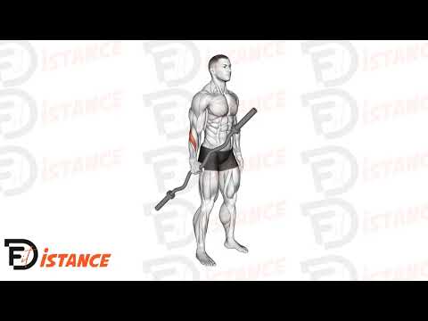 Exercice Flexion poignet prise neutre unilatéral à la barre EZ