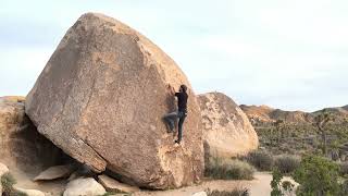 Video thumbnail of Prince Hoi, V2. Joshua Tree