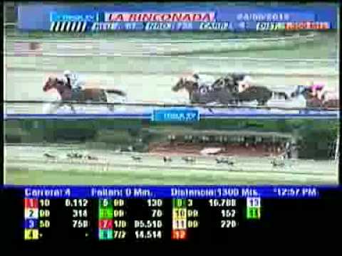 4TA CARRERA VIERNES 24 AGOSTO LA RINCONADA AUDIOHIPISMO