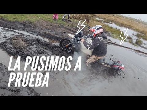 Metimos en PROBLEMAS a la Royal Himalayan 450❌