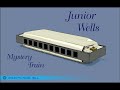 Junior Wells -  Mystery Train