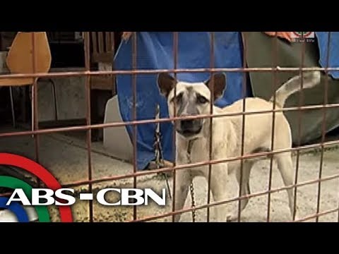 Iskedyul at diyeta menu para sa pagbaba ng timbang Mawalan ng timbang 10 kg nutrisyunista