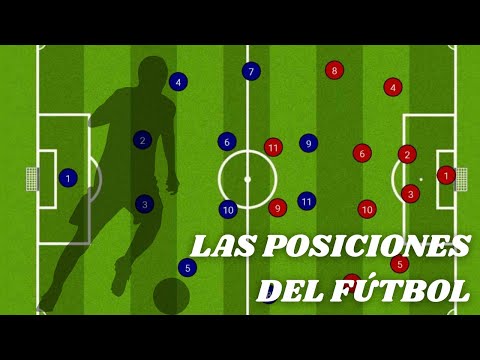 LAS POSICIONES EN EL FÚTBOL | Características, funciones y roles de los jugadores de fútbol.